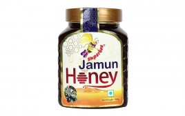 Superbee Jamun Honey   Plastic Jar  500 grams